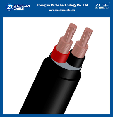 0.6/1KV Cabos revestidos de PVC com cobre Xlpe isolado de baixa tensão 2Core para IEC 60228, IEC 60502-1 (CU/XLPE/PVC)